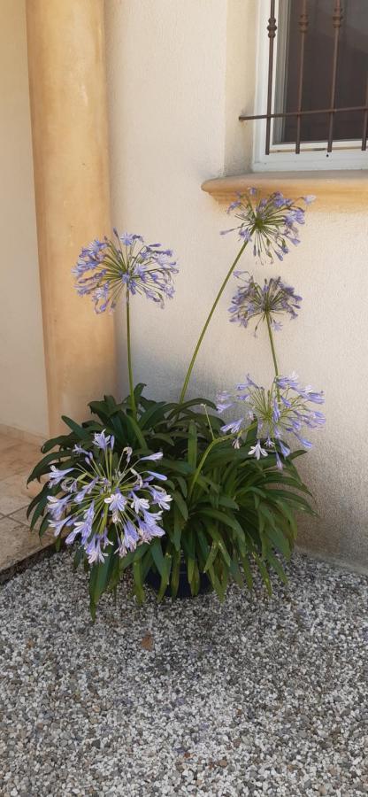 Villa Jasmin Régusse Екстериор снимка